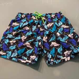 Shades of Blue Vilebrequin Swim Trunks (Size Medium)